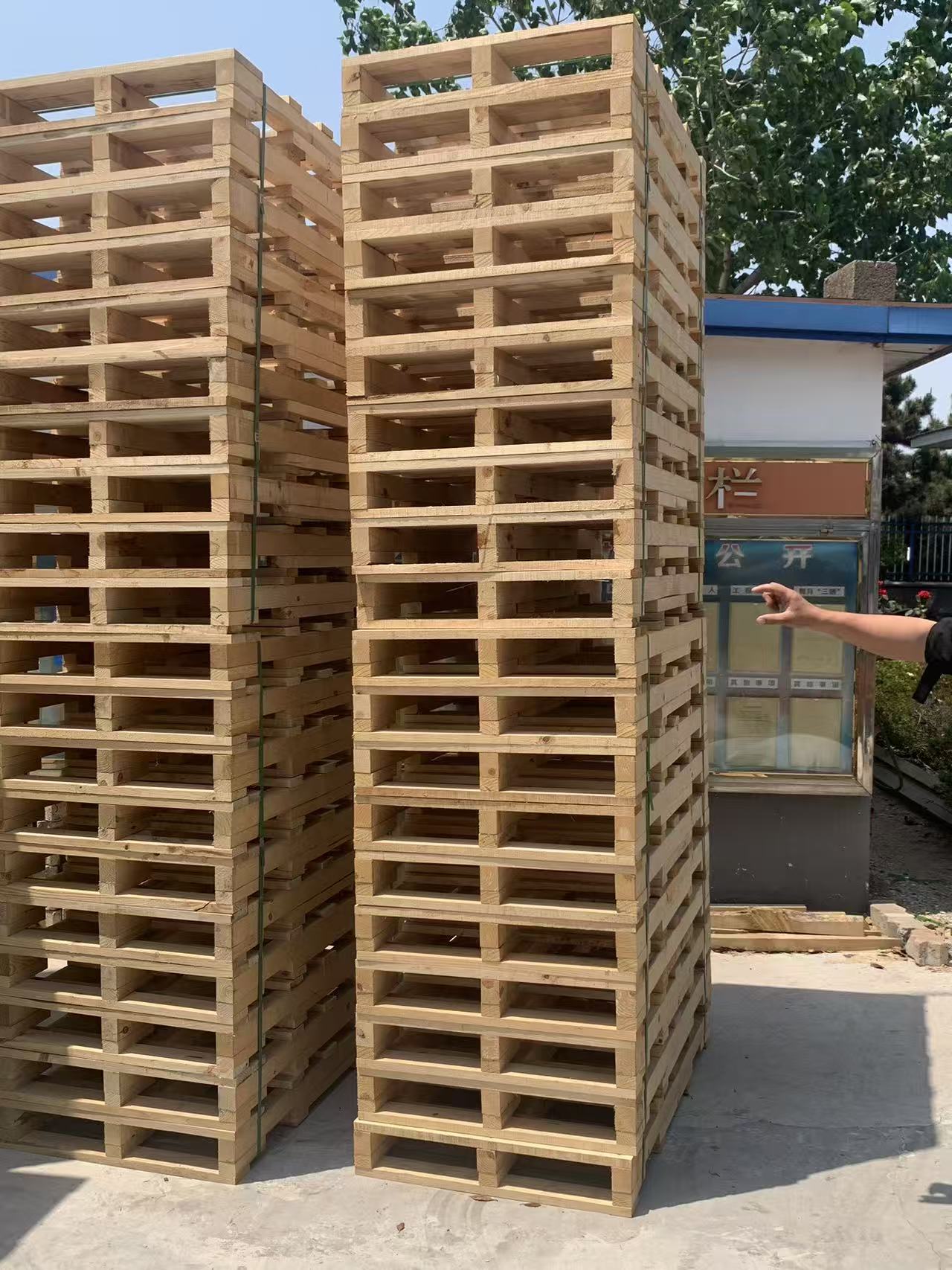 Treated pallets ready for export